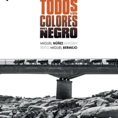 Todos los colores del negro