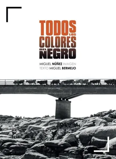 Todos los colores del negro