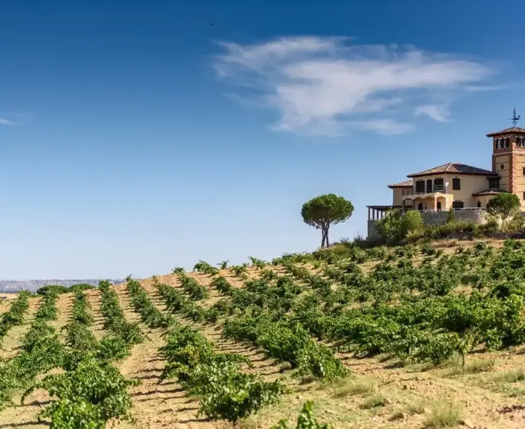 Heladas y vinos en Toro