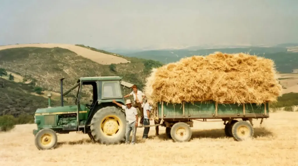 Lo leonés se pierde