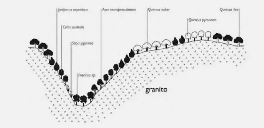 transecto-penillanuras