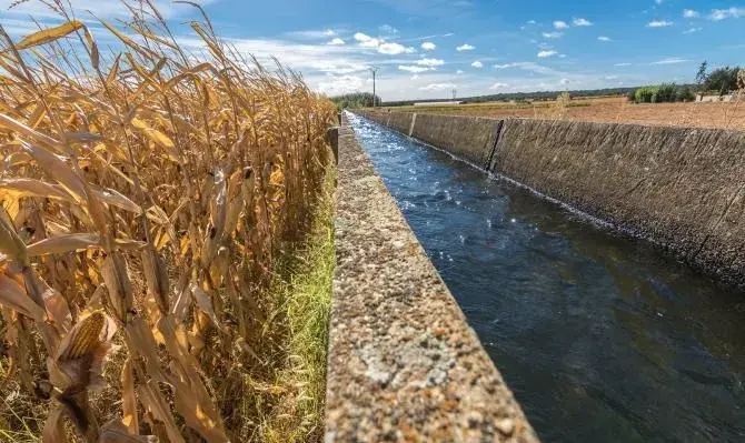 Zamora al borde del colapso hídrico ante la avalancha de proyectos energéticos