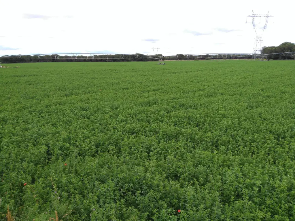 Zamora lidera la concentración parcelaria privada en Castilla y León