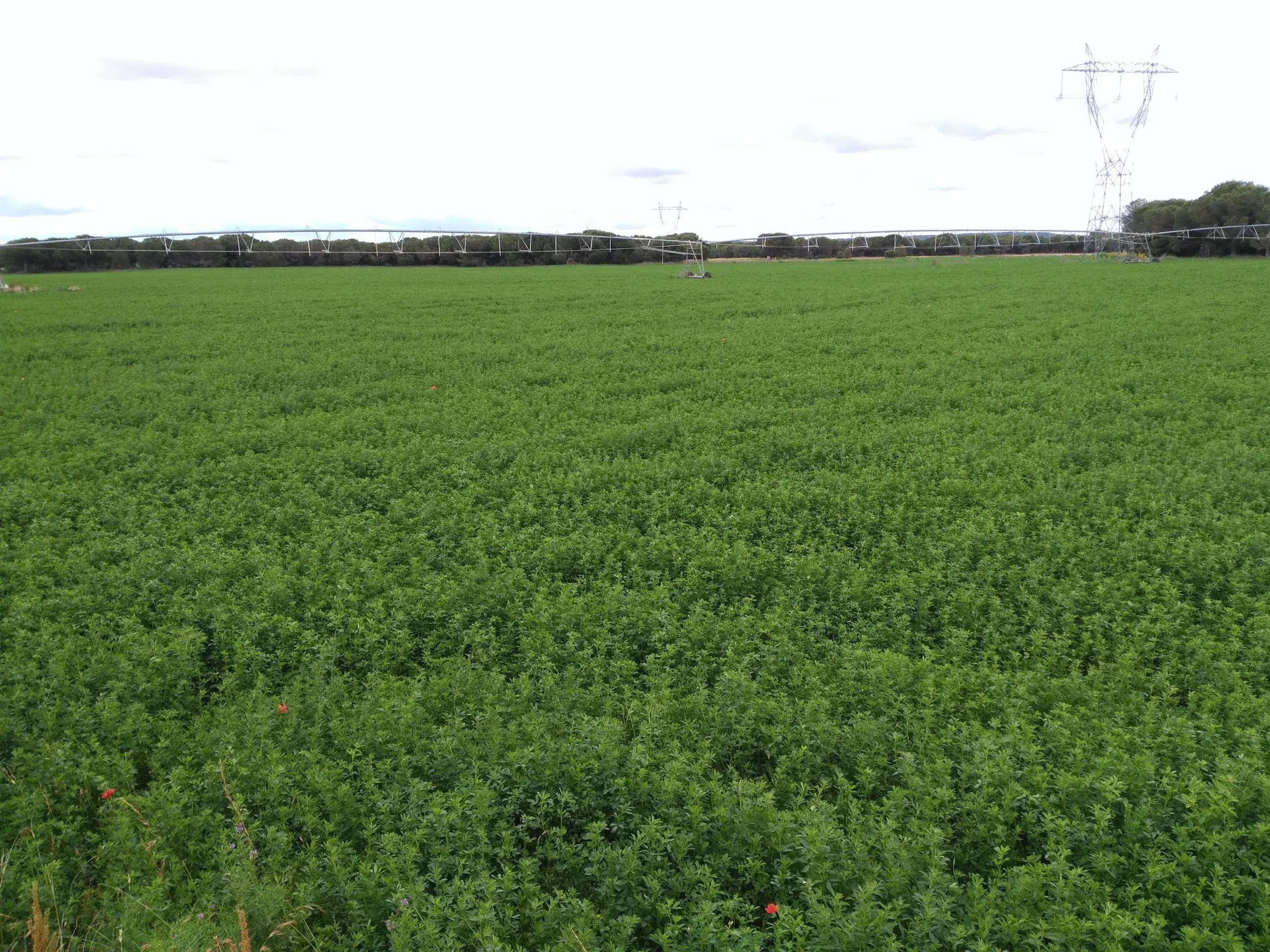 Zamora lidera la concentración parcelaria privada en Castilla y León