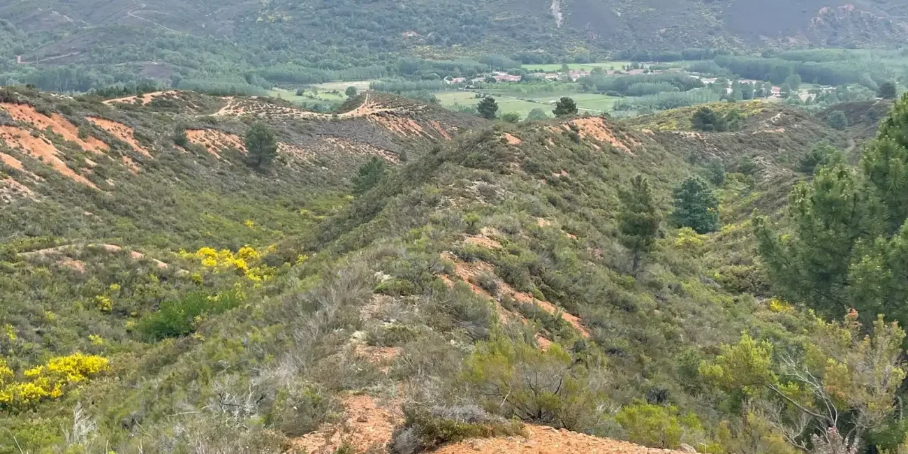 Paisaje desde lo alto