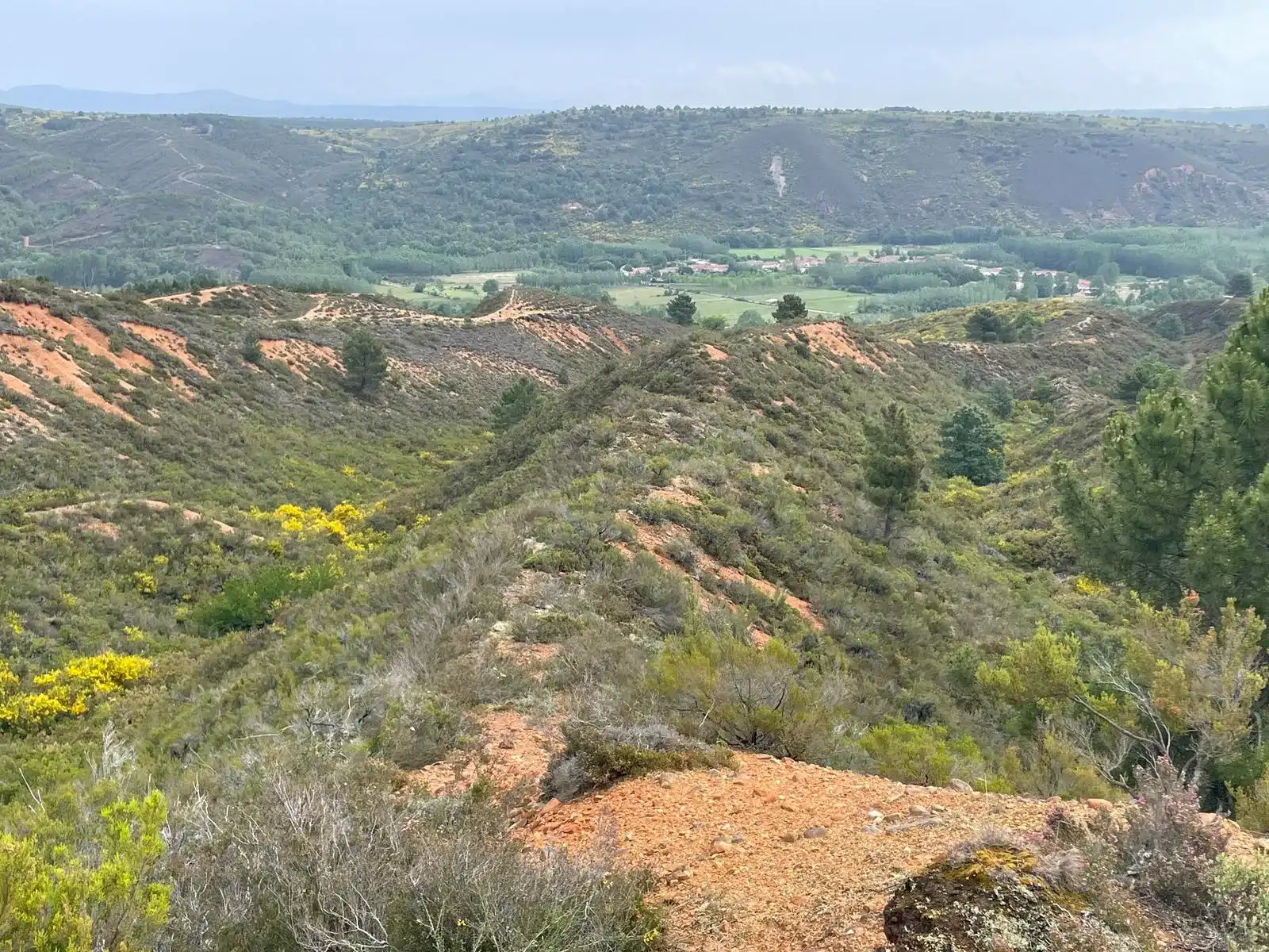 Paisaje desde lo alto