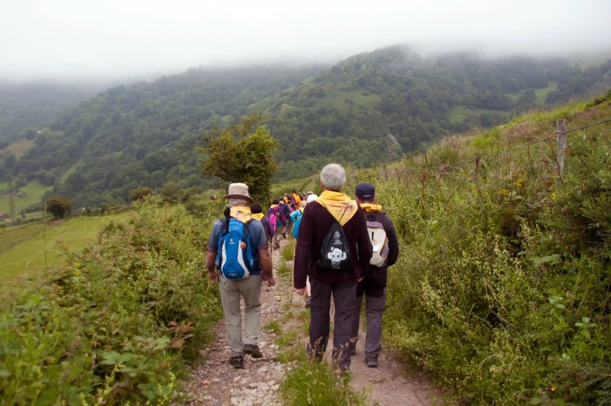 Pilgrims walking through the mist