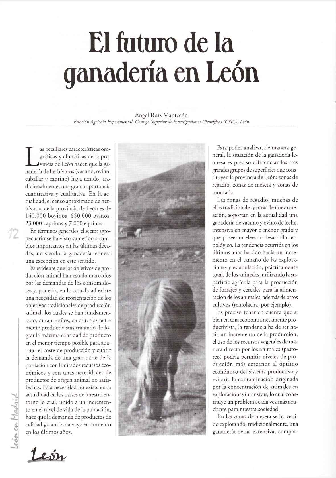 El futuro de la ganadería en León