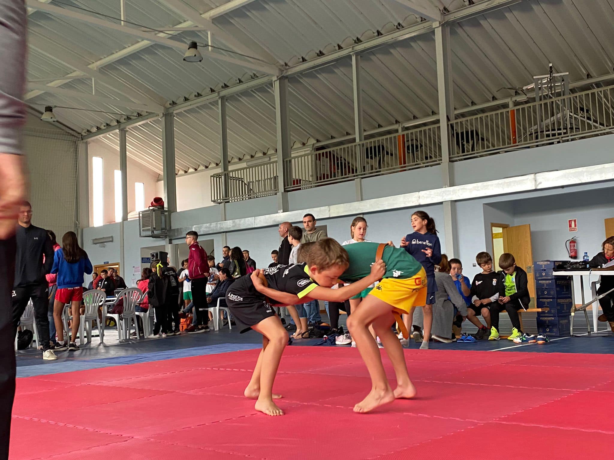 Monumento a la lucha leonesa